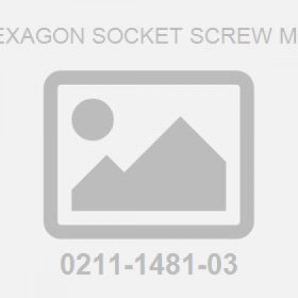 Hexagon Socket Screw M16